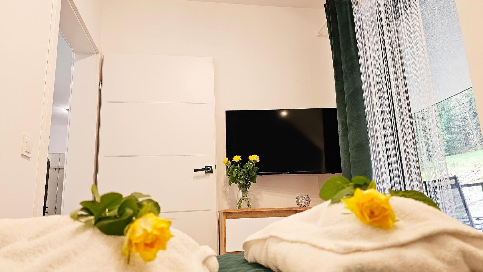 Izerskie Strumykowa 7 * Świeradów-Zdrój